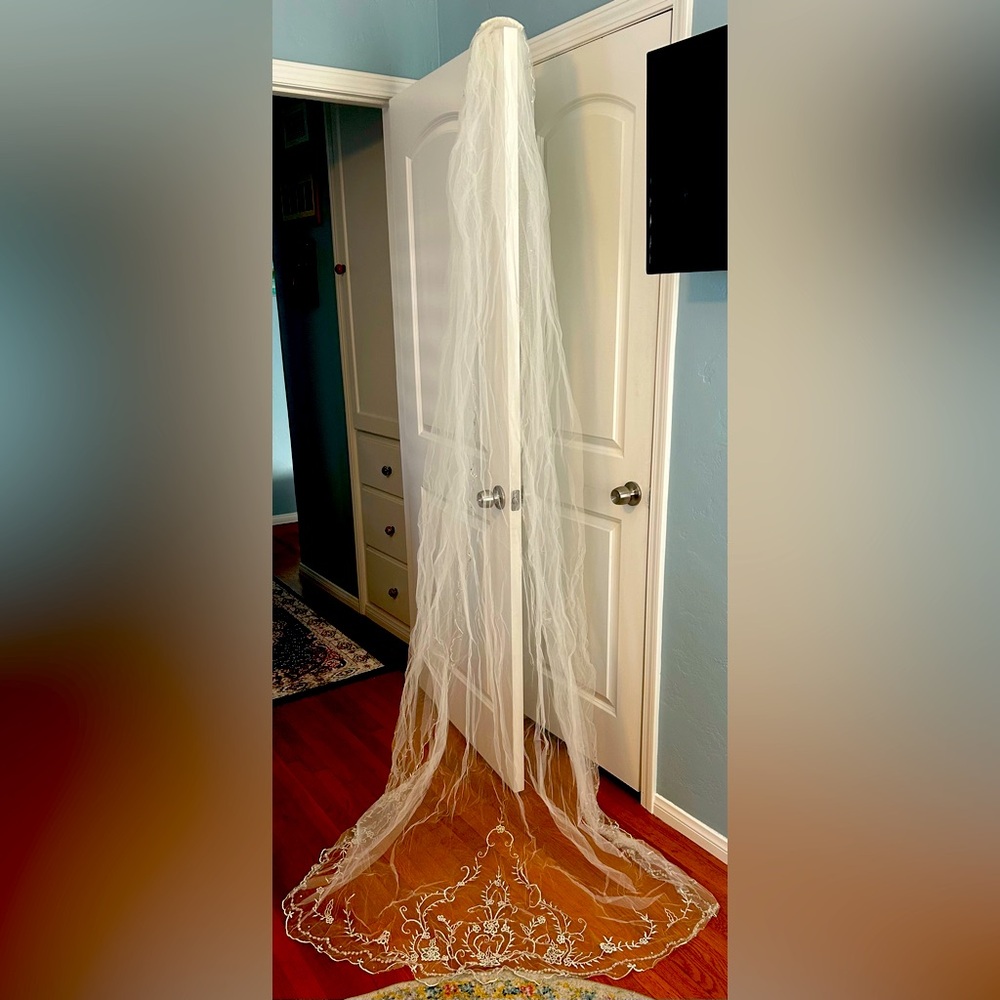 Cathedral length veil NWT